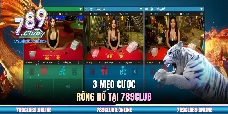 3 mẹo cược rồng hổ tại 789CLUB